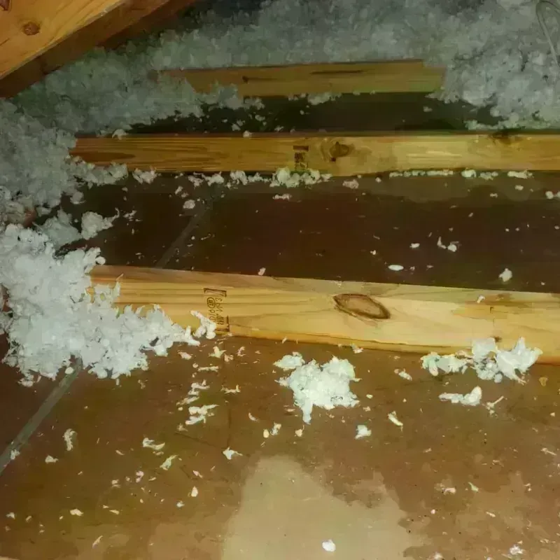 Attic Water Damage in Huntsville, AL