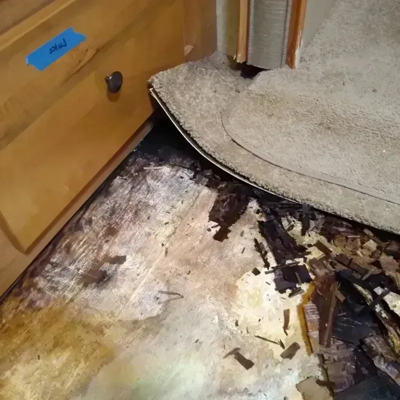 Wood Floor Water Damage in Huntsville, AL